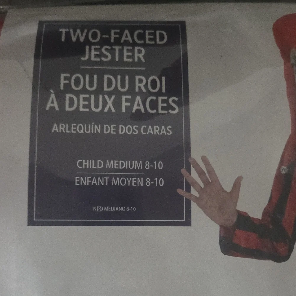 Two-Faced Jester Kids Costume - Red and Black